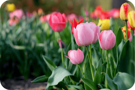 Copy of Blog and email images-3